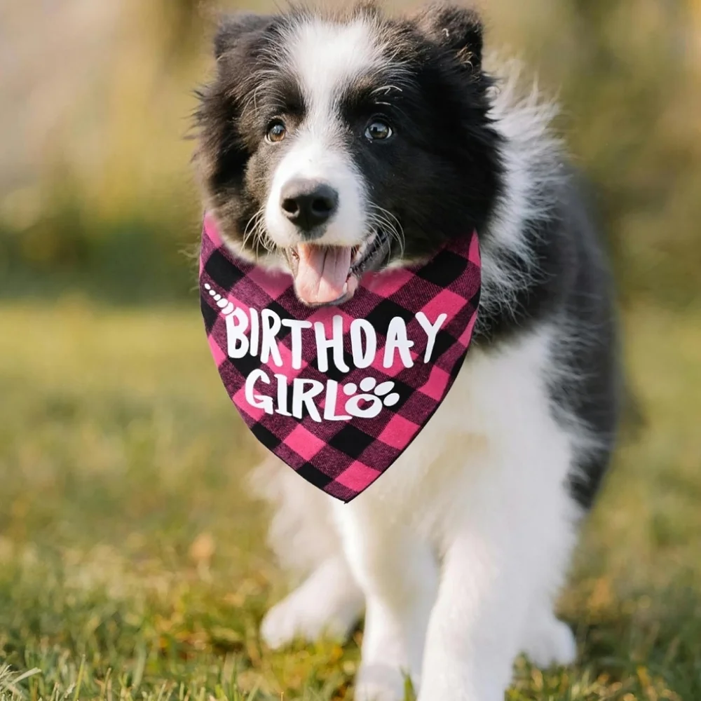 Dog Birthday Party Supplies (X-Large Pink)  Bandana, Bow NWT
